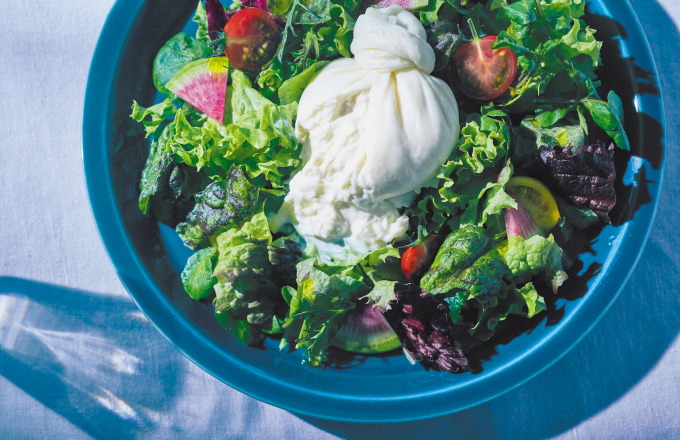 Salad